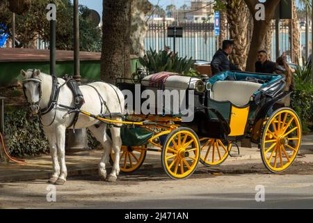 Málaga, Spanien; 02. April 2022: Typische Pferdekutsche in einer Straße in Malaga (Spanien), um Touristen durch die Stadt zu bringen Stockfoto