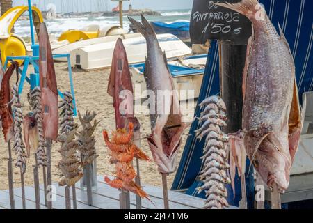 Typische Gerichte der andalusischen Küste: Sardinen, Tintenfische und Fische, die bei einem Kohlefeuer in einem Boot rösten Stockfoto