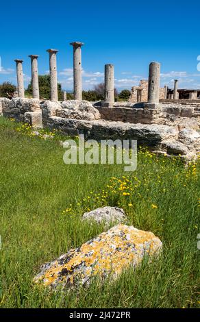 Säulen um die Schlafsäle im Heiligtum von Apollo Hylates, römische Stätte, Episkopi, Republik Zypern. Stockfoto