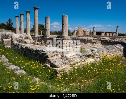 Säulen um die Schlafsäle im Heiligtum von Apollo Hylates, römische Stätte, Episkopi, Republik Zypern. Stockfoto