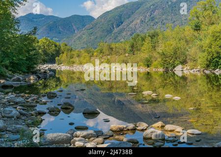 Sommerlandschaft mit dem Fluss Maggia in Losone, Schweiz Stockfoto