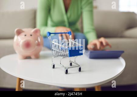 Nahaufnahme des Warenkorbs auf dem Tisch vor dem Sparschwein und einer Frau mit dem Taschenrechner im Hintergrund Stockfoto