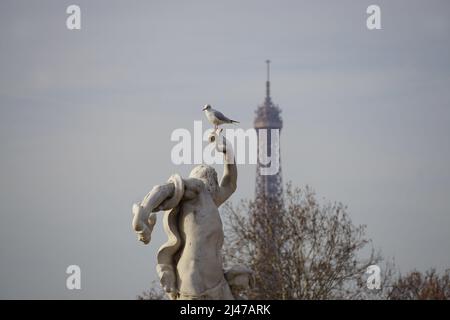 Blick auf eine einone Möwe, die auf dem Finger einer alten Steinstatue mit dem Eiffelturm in der Innenstadt von Paris, Frankreich, thront Stockfoto