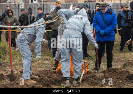 Forensische Polizisten exhumieren Leichen in Bucha, am Stadtrand von Kiew. Bucha City in der Ukraine wurde unter intensiven Kämpfen und Beschuss-Angriffen aus Russland verwüstet. Der Völkermord-Angriff der russischen Streitkräfte tötete Hunderte von Zivilisten in der Stadt. Die russischen Angriffe führen auch dazu, dass einige Einheimische obdachlos sind und auf der Straße leben. Stockfoto