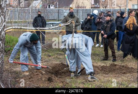 Forensische Polizisten exhumieren Leichen in Bucha, am Stadtrand von Kiew. Bucha City in der Ukraine wurde unter intensiven Kämpfen und Beschuss-Angriffen aus Russland verwüstet. Der Völkermord-Angriff der russischen Streitkräfte tötete Hunderte von Zivilisten in der Stadt. Die russischen Angriffe führen auch dazu, dass einige Einheimische obdachlos sind und auf der Straße leben. Stockfoto