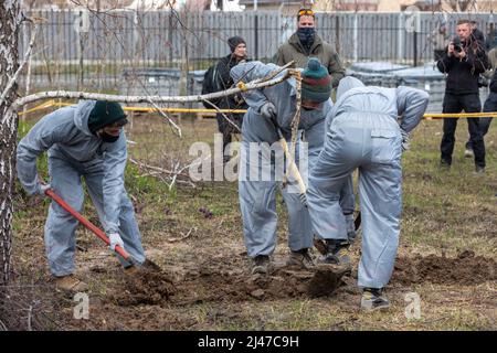 Bucha, Ukraine. 12. April 2022. Forensische Polizisten exhumieren Leichen in Bucha, am Stadtrand von Kiew. Bucha City in der Ukraine wurde unter intensiven Kämpfen und Beschuss-Angriffen aus Russland verwüstet. Der Völkermord-Angriff der russischen Streitkräfte tötete Hunderte von Zivilisten in der Stadt. Die russischen Angriffe führen auch dazu, dass einige Einheimische obdachlos sind und auf der Straße leben. (Foto von Mikhail Palinchak/SOPA Images/Sipa USA) Quelle: SIPA USA/Alamy Live News Stockfoto