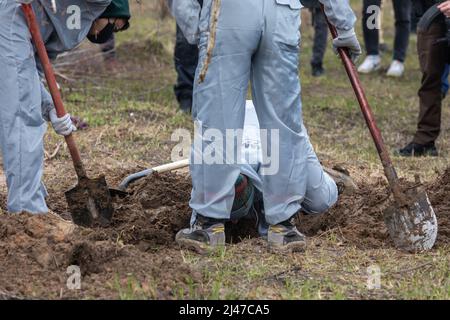 Bucha, Ukraine. 12. April 2022. Forensische Polizisten exhumieren Leichen in Bucha, am Stadtrand von Kiew. Bucha City in der Ukraine wurde unter intensiven Kämpfen und Beschuss-Angriffen aus Russland verwüstet. Der Völkermord-Angriff der russischen Streitkräfte tötete Hunderte von Zivilisten in der Stadt. Die russischen Angriffe führen auch dazu, dass einige Einheimische obdachlos sind und auf der Straße leben. (Foto von Mikhail Palinchak/SOPA Images/Sipa USA) Quelle: SIPA USA/Alamy Live News Stockfoto