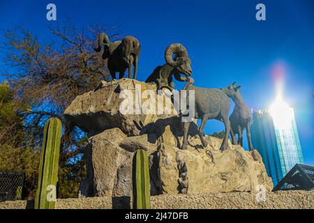 Figura o estatua de borrego cimarron, cimarrones, animal del desierto de sonora y edificio departamental, biens raices en la colonia Pitic en Hermosillo, Mexiko. (Foto von Luis Gutierrez/North Photo/) Figura o estatua de borrego cimarron, cimarrones, animal del desierto de sonora y edificio departamental, biens raices en la colonia Pitic en Hermosillo, Mexiko. (Foto von Luis Gutierrez/Nordfoto/) Stockfoto