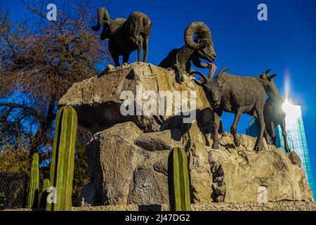 Figura o estatua de borrego cimarron, cimarrones, animal del desierto de sonora y edificio departamental, biens raices en la colonia Pitic en Hermosillo, Mexiko. (Foto von Luis Gutierrez/North Photo/) Figura o estatua de borrego cimarron, cimarrones, animal del desierto de sonora y edificio departamental, biens raices en la colonia Pitic en Hermosillo, Mexiko. (Foto von Luis Gutierrez/Nordfoto/) Stockfoto