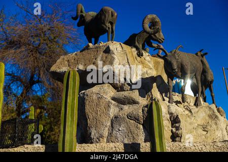 Figura o estatua de borrego cimarron, cimarrones, animal del desierto de sonora y edificio departamental, biens raices en la colonia Pitic en Hermosillo, Mexiko. (Foto von Luis Gutierrez/North Photo/) Figura o estatua de borrego cimarron, cimarrones, animal del desierto de sonora y edificio departamental, biens raices en la colonia Pitic en Hermosillo, Mexiko. (Foto von Luis Gutierrez/Nordfoto/) Stockfoto