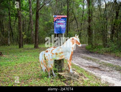 Politische Schilder entlang einer Landstraße in Nord-Florida. Stockfoto