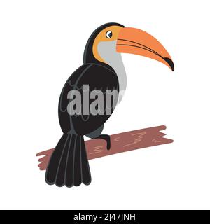 Toucan Vogel Zeichentrickfigur. Niedlicher Tukan-Vektor isoliert auf Weiß. Südamerikanische Fauna. Stock Vektor
