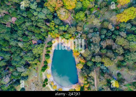 Es gibt so viel Schönheit und Farbe in der Natur. Hochwinkelaufnahme eines Sees mitten in einem schönen Wald. Stockfoto