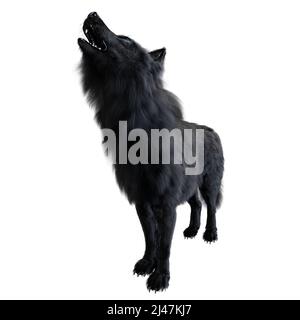 Dire Wolf auf isoliertem Hintergrund, 3D-Illustration, 3D-Rendering Stockfoto