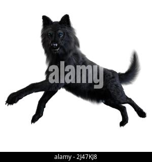 Dire Wolf auf isoliertem Hintergrund, 3D-Illustration, 3D-Rendering Stockfoto