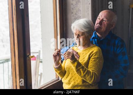 Erinnern an die Vergangenheit - kaukasisches Seniorenpaar aus dem Fenster schauen Senioren unterstützen Konzept Zimmer Medium shot . Hochwertige Fotos Stockfoto