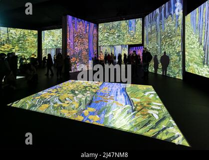 Menschen sehen Van Gogh Alive Kunstausstellung, Edinburgh, Schottland, Großbritannien Stockfoto