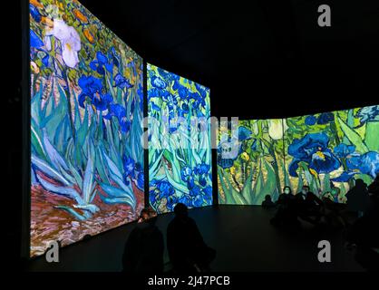 Menschen sehen Van Gogh Alive Kunstausstellung, Edinburgh, Schottland, Großbritannien Stockfoto