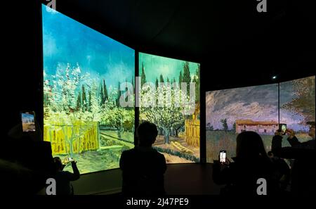 Menschen sehen Van Gogh Alive Kunstausstellung, Edinburgh, Schottland, Großbritannien Stockfoto