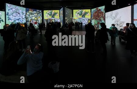 Menschen sehen Van Gogh Alive Kunstausstellung, Edinburgh, Schottland, Großbritannien Stockfoto