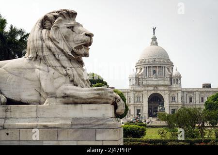 Löwe vor dem Victoria Memorial Palace in Kalkutta, Indien Stockfoto