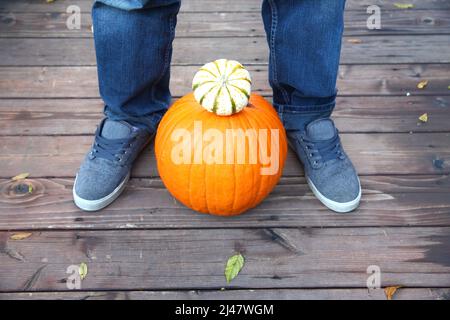 Thanksgiving oder Halloween Dekorationen Stockfoto