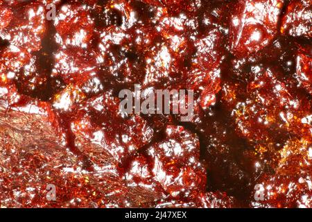 Vergrößerte Ansicht des roten harzsaftes auf der südaustralischen Blue Gum Rinde Stockfoto
