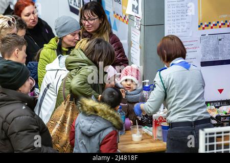 8. April 2022, Krakau, malopolskie, Polen: Polnische Pfadfinderorganisation gibt ukrainischen Flüchtlingsfamilien am Hauptbahnhof Nahrung. Die Invasion Russlands in die Ukraine zwang bereits 4 Millionen Ukrainer zur Flucht aus dem Land. Die meisten Flüchtlinge suchen in Polen Asyl. Die meisten karitativen Hilfen in Polen werden von Einzelpersonen, NGOs und Unternehmen geleistet. Die Bahnhöfe sind die Zentren der humanitären Hilfe in vielen polnischen Städten. (Bild: © Dominika Zarzycka/SOPA Images via ZUMA Press Wire) Stockfoto