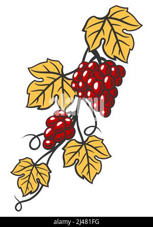 Illustration der Rebe mit Blättern und Trauben. Bild der Weinkellerei für Restaurants und Bars. Stock Vektor
