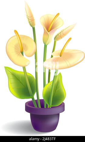 Abbildung der Calla mit Blättern und Topf. Blume, Hauspflanze, Lilie. Blumenkonzept. Kann für Themen wie, Grüße, Gartenarbeit, Innenarchitektur verwendet werden Stock Vektor