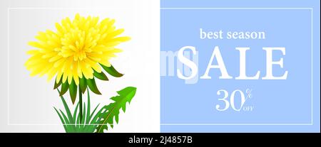 Beste Saison Verkauf, dreißig Prozent Rabatt Banner-Vorlage mit Dandelion auf hellblauem Hintergrund. Getippte Texte in Rahmen können für Flyer, Schilder, poste verwendet werden Stock Vektor