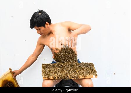 Der Mensch ist von vielen Bienen bedeckt Stockfoto