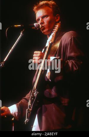 LOS ANGELES, CA - Sting tritt 1987 auf der Bühne auf Credit: Jeffrey Mayer / Rock Negative / MediaPunch Stockfoto