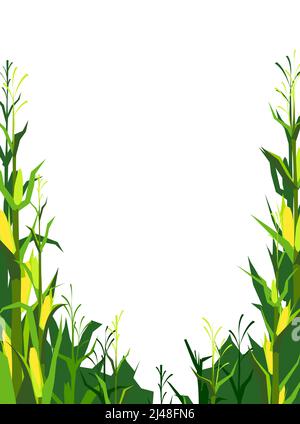 Ernte landwirtschaftliche Pflanze. Rahmen mit Textort. Lebensmittelprodukte. Farmer Farm Illustration. Ländliche Sommerlandschaft. Objekt auf Weiß isoliert Stock Vektor