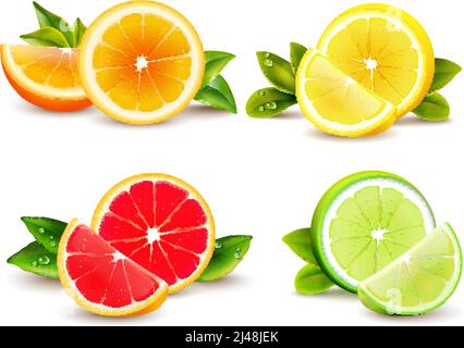 Zitrusfrüchte Hälften und Viertel Keile 4 realistische Symbole quadratisch Mit orangefarbener Grapefruit-Zitrone isolierte Vektorgrafik Stock Vektor