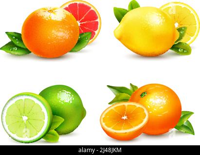 Frische Zitrusfrüchte ganze und Hälften 4 realistische Symbole quadratisch Mit orangefarbener Grapefruit-Zitrone isolierte Vektorgrafik Stock Vektor