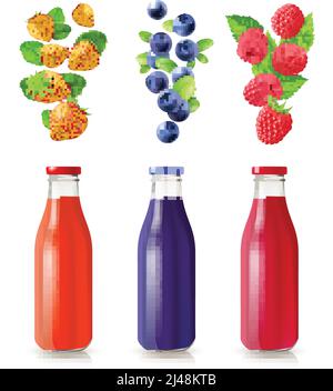 Berry Juice realistische Set mit Flaschen und Beeren isoliert Vektor Abbildung Stock Vektor