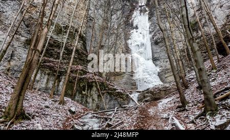 Großer gefrorener Eisfall im Winterwald. Brankovsky Wasserfall, Slowakei. Stockfoto