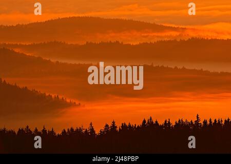 Kalter Morgen im Sumava Nationalpark, Hügel und Dörfer im Nebel und im Nebel, nebliger Blick auf die tschechische Landschaft, blaue Winterszene, Tschechisch. Morgens orange Stockfoto