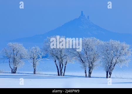 Winterszene mit Schnee und Bäumen. Hazmburk gotische Burg auf felsigen Berg, Hügellandschaft in Ceske Stredohori, Tschechische republik. Kalte Natur mit Ruine Stockfoto