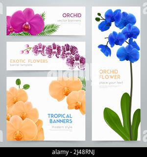 Blühende Orchideenpflanzen 4 tropische botanische Banner Kollektion mit Exotic Bunte Blumen realistisch isoliert Vektor Illustration Stock Vektor