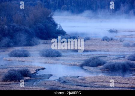 Typische Winterlandschaft rund um die Moldau in der Nähe des Stausees Lipno, Nationalpark Sumava in Tschechien. Grüner Wald mit Mäandern. Nebliger Morgen b Stockfoto