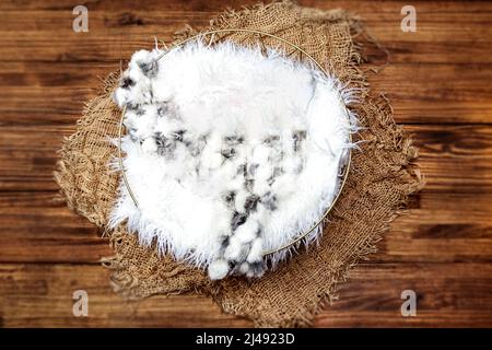 Neugeborene Fotografie Digital Hintergrund Nest mit weißen Füllstoff auf Echtholz-Boden Stockfoto