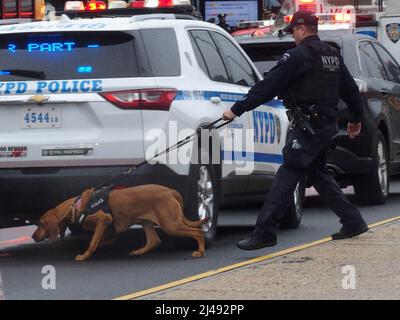 12. April 2022, Brooklyn, New York, USA: Polizei und Hunde arbeiten nach Massenschießerei in der New Yorker U-Bahn. Die Polizei teilte mit, dass ein schwerfälliger, dunkelhäutiger Mann, gekleidet in eine Neon Green Construction Workers Weste und einen Bauhelm, eine Gasmaske trug, als ein überfüllter N-Zug in Richtung Norden um 8,24 UHR EST die Station 36. Street im Sunset Park-Viertel anfuhr. Warf zwei Rauchgranaten auf den Boden des Autos und begann mit dem Abschuss seiner .380 Pistolen auf Passagiere. Dreiunddreißig Schüsse später floh er. Mindestens 10 Menschen durch Schusswaffen verletzt. 19 weitere Passagiere wurden bei der Flucht vor dem Krim verletzt Stockfoto