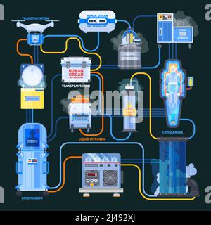 Kryonics flaches Flussdiagramm, Ausrüstung mit flüssigem Stickstoff und menschlichen Organen für die Transplantation auf schwarzem Hintergrund Vektordarstellung Stock Vektor