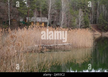 Holzhütte am Waldseeufer Stockfoto