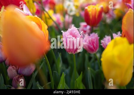 Genieße, was meine Augen sehen Stockfoto