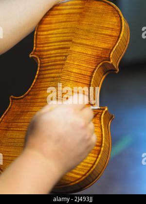 geigenbauer lackiert eine klassische Violine Stockfoto