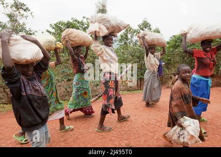 Frauen auf dem Rückweg vom Markt, dem Mbazi-Sektor, dem Huye-Bezirk. Foto von Mike Goldwater Stockfoto