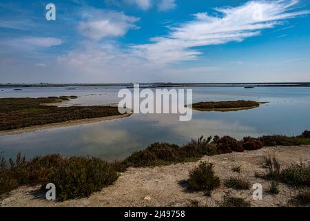 Ebro Delta Marshes, Tarragona, Katalonien, Spanien. Stockfoto